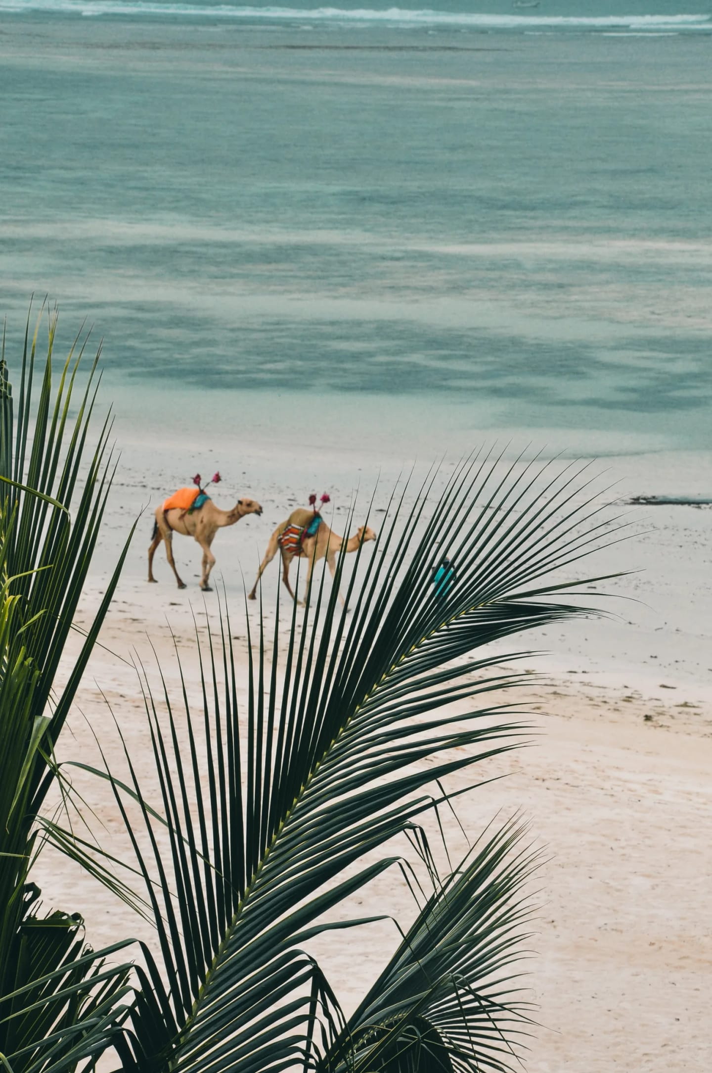 Mombasa