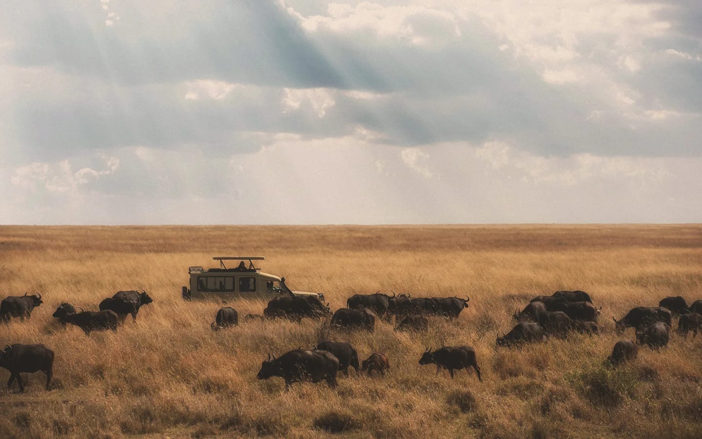 Quando andare in Sud Sudan: i 2 periodi migliori