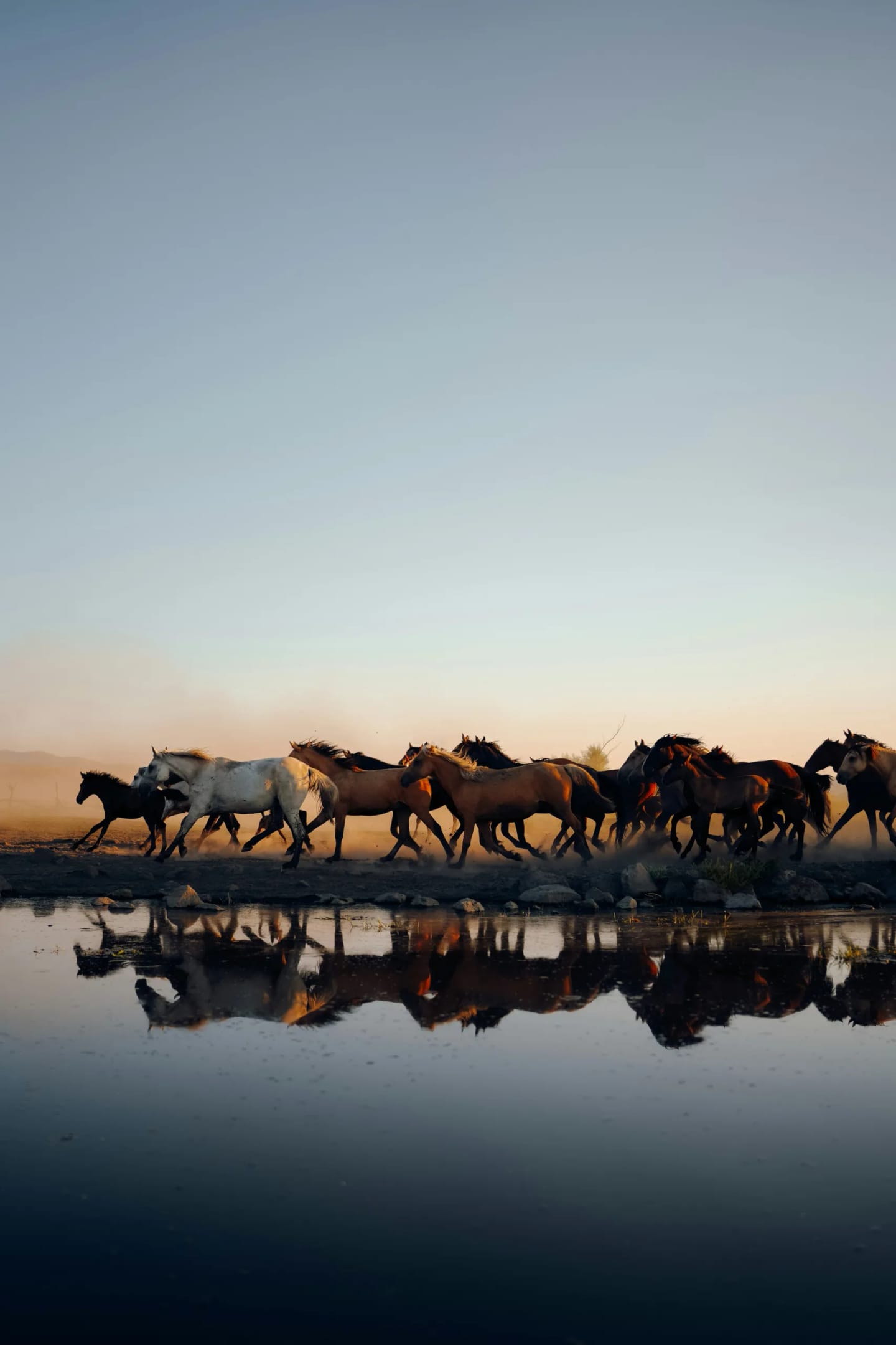 Viaggio di gruppo in Mongolia