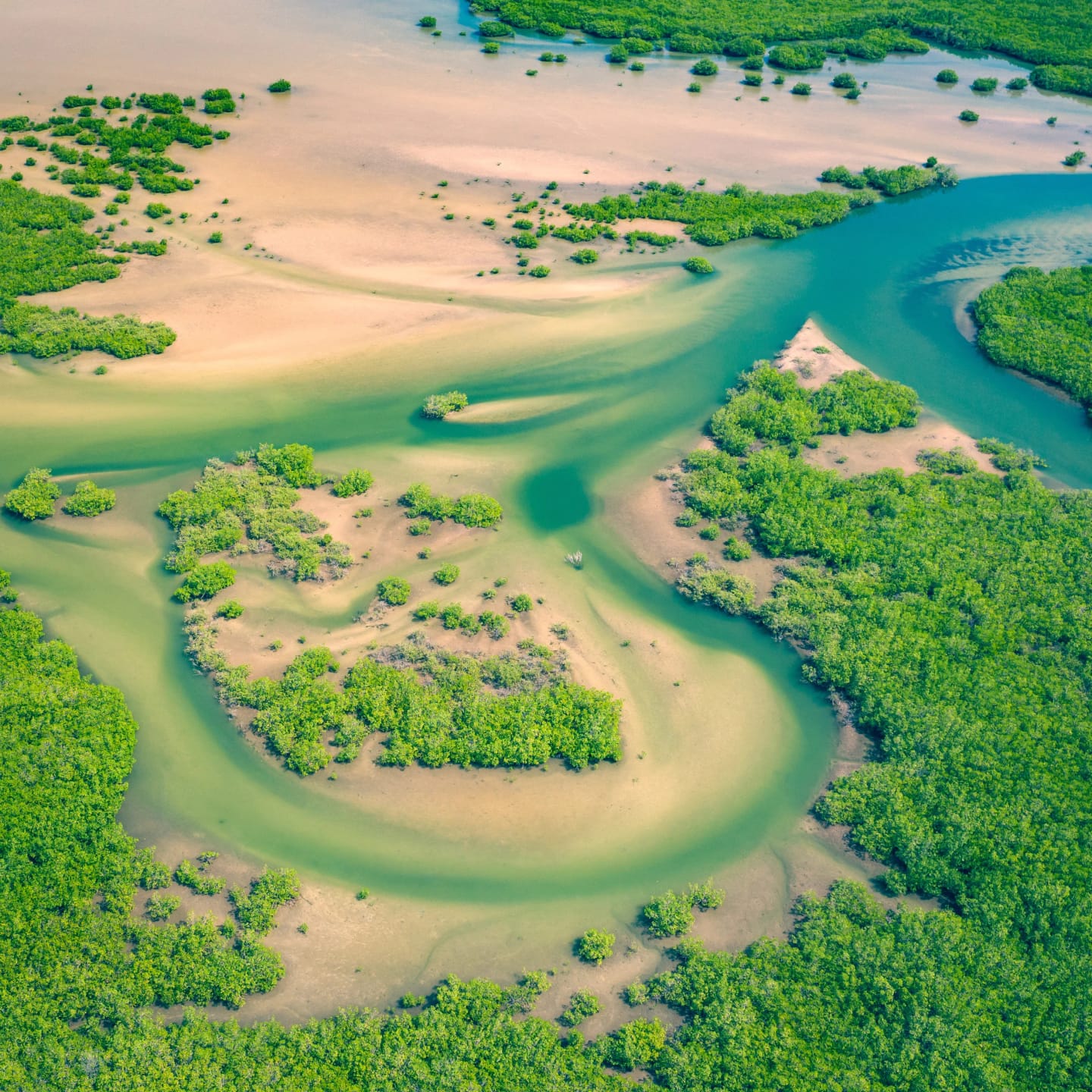 Viaggio di gruppo Senegal