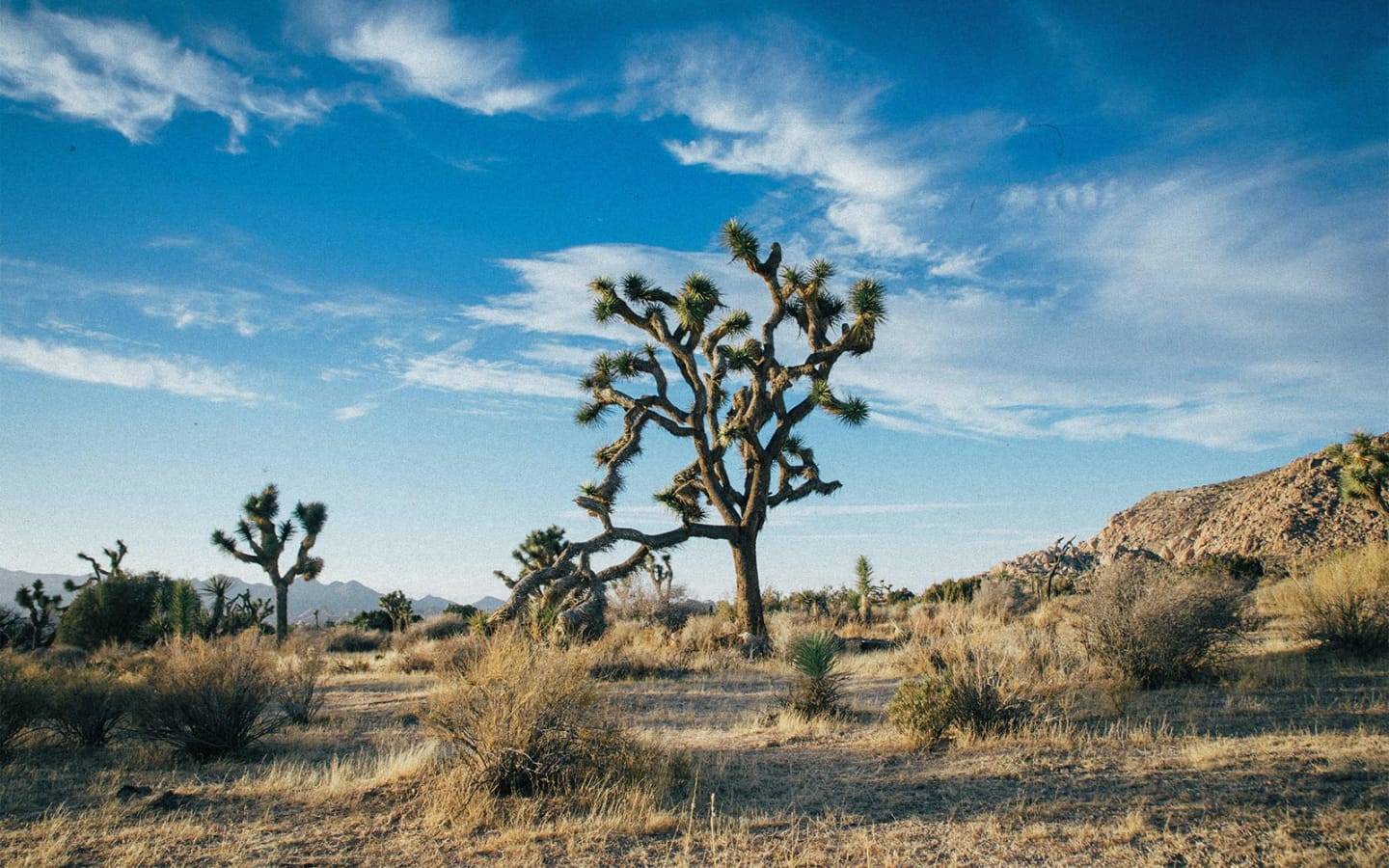 Le migliori attrazioni da vedere in California