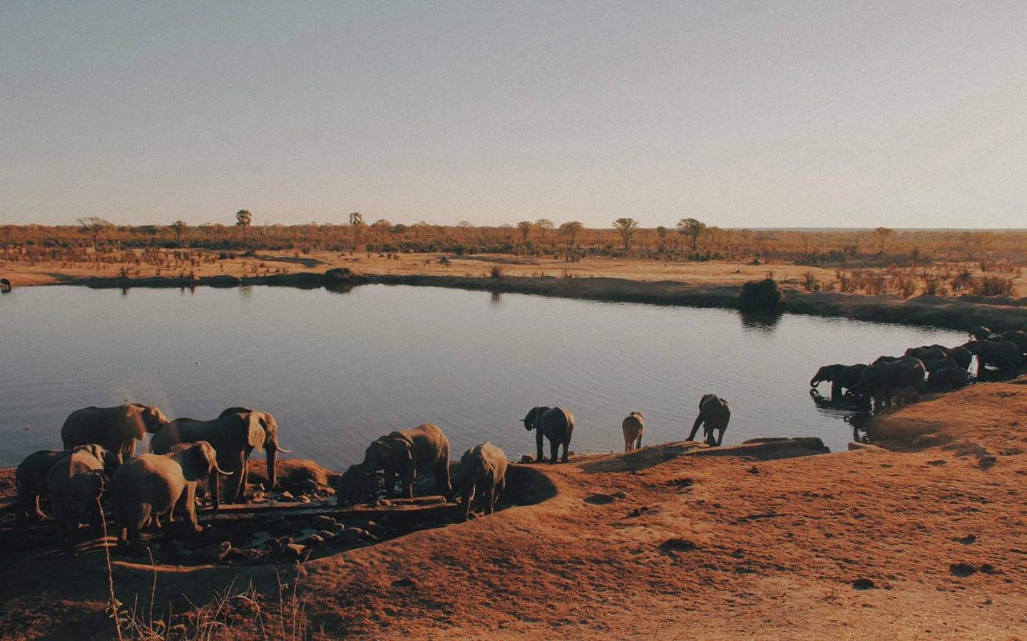 5 cose da sapere prima di visitare lo Zimbabwe