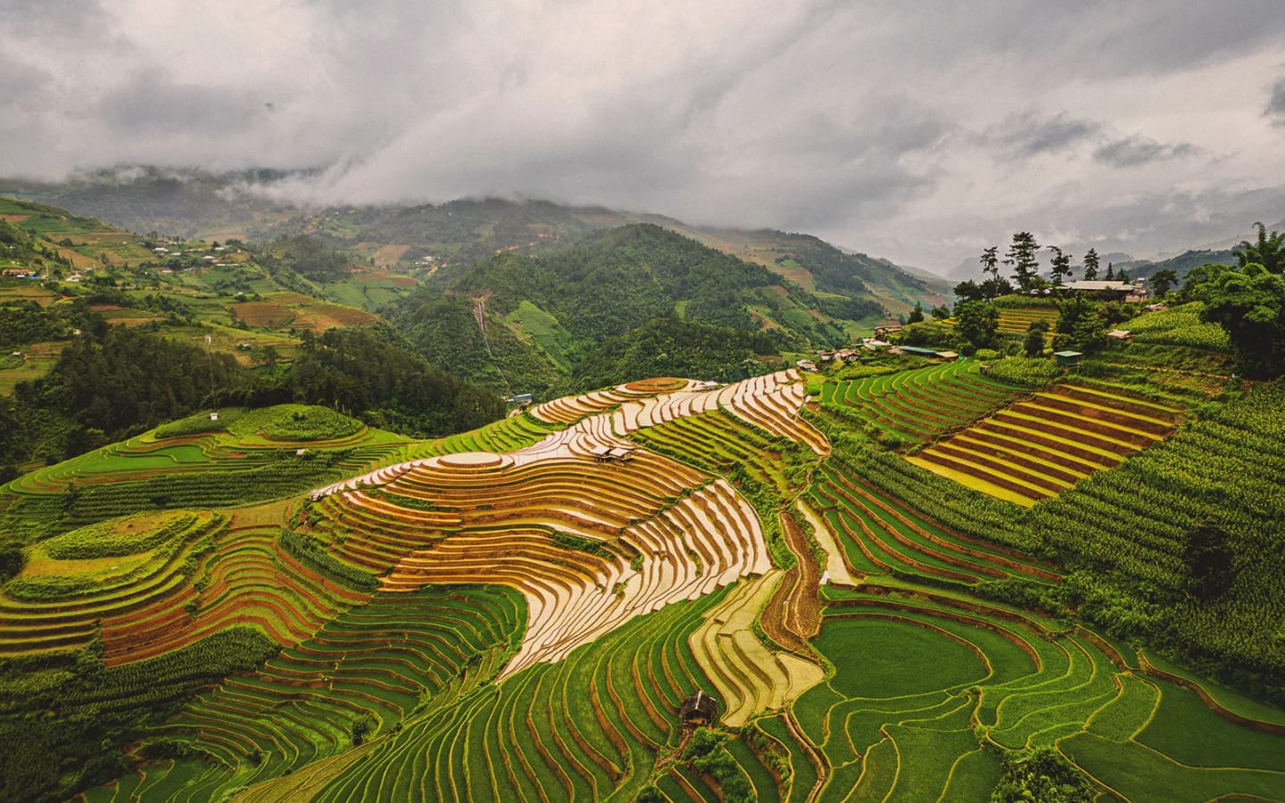Viaggi in Asia a novembre: le 4 migliori destinazioni