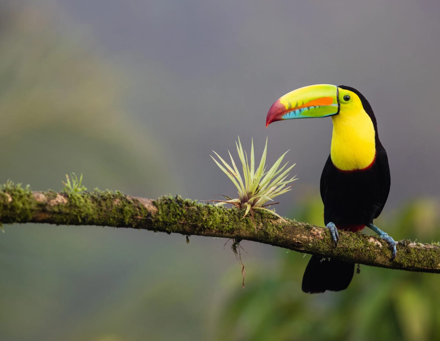 Viaggio di gruppo in Costa Rica