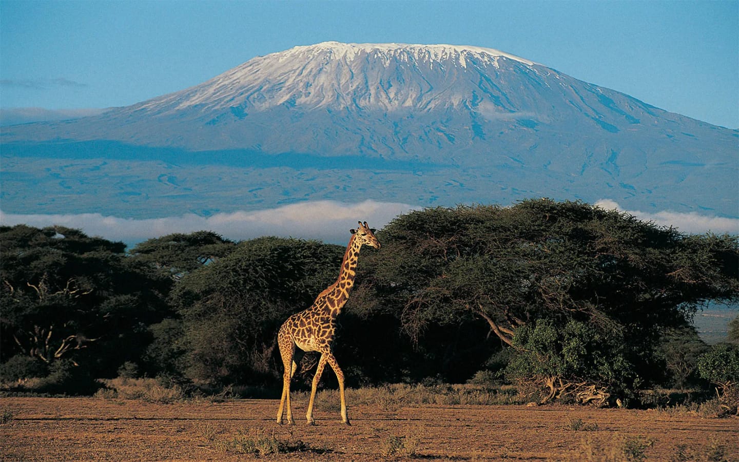 Tanzania ad agosto: Kilimangiaro, safari e Zanzibar