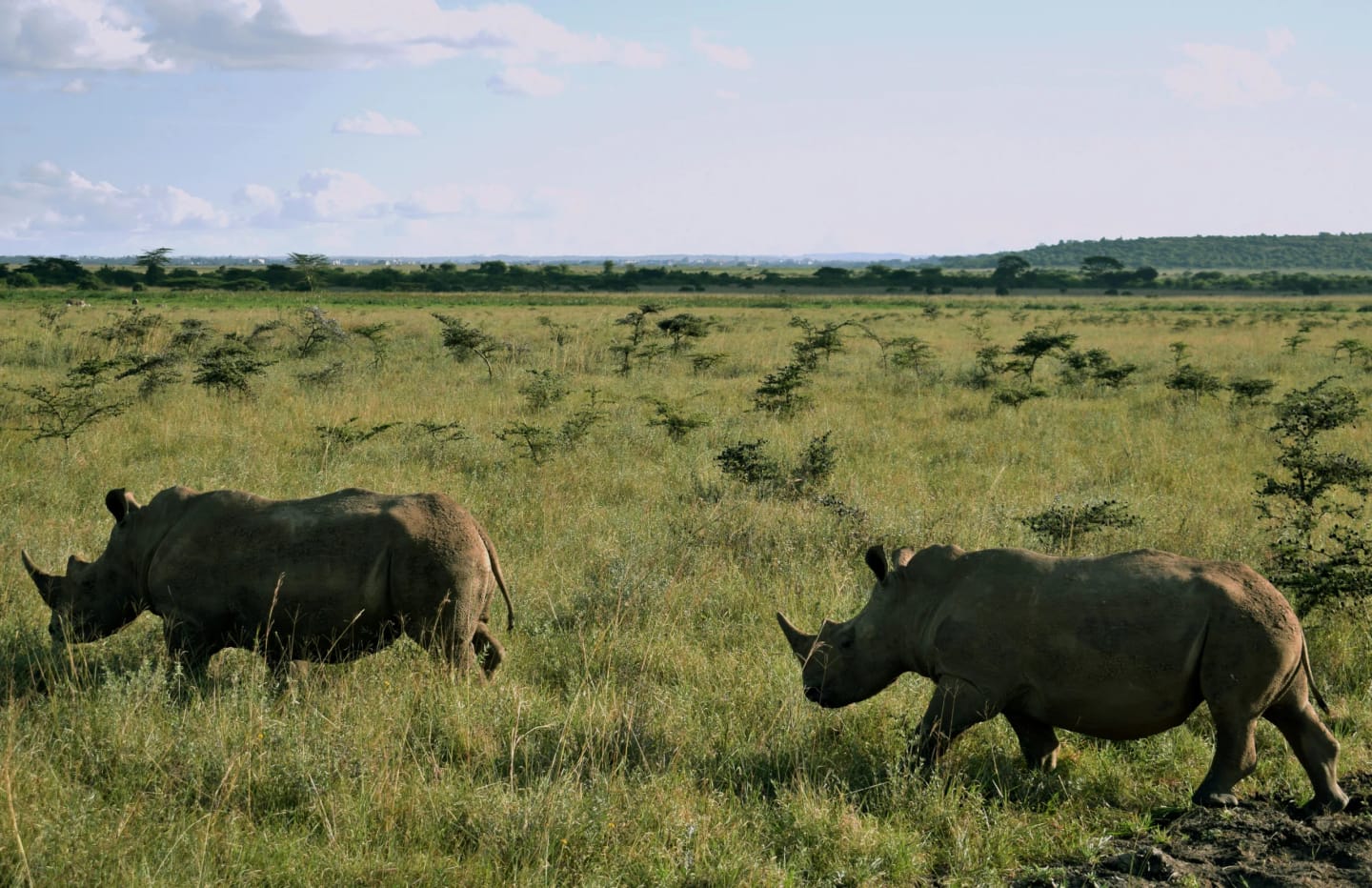 SiVola Together in Kenya