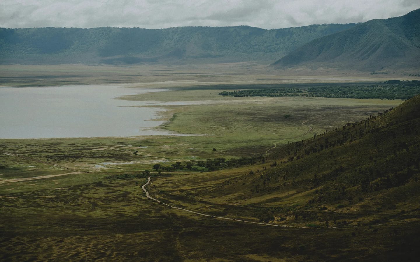 Safari in Tanzania: perché visitare il cratere di Ngorongoro