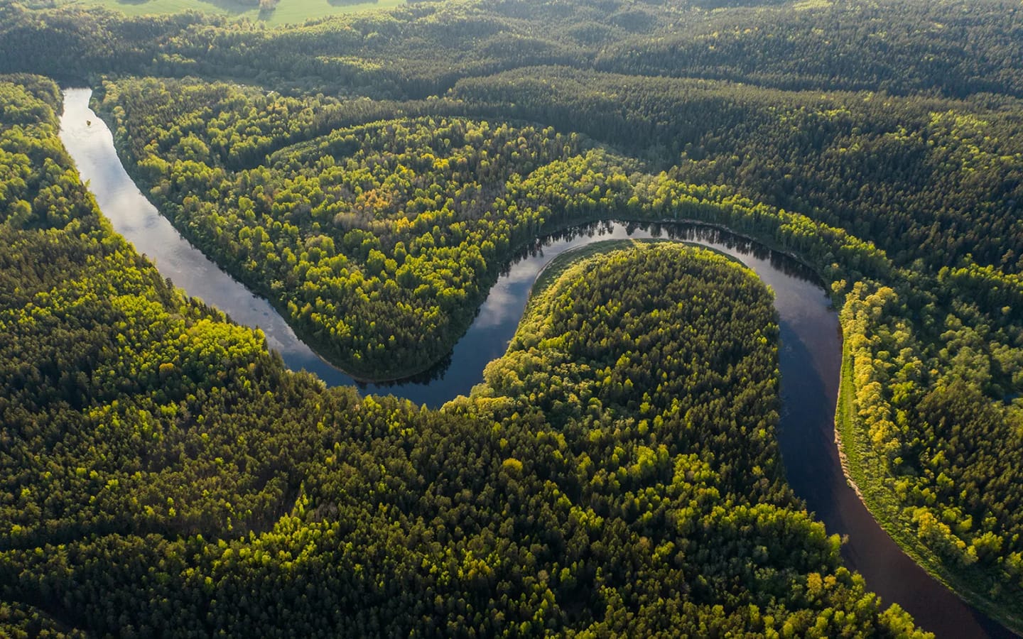 Cosa portare in valigia in Amazzonia?