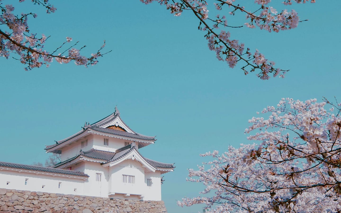 Viaggi di gruppo Hanami sivola