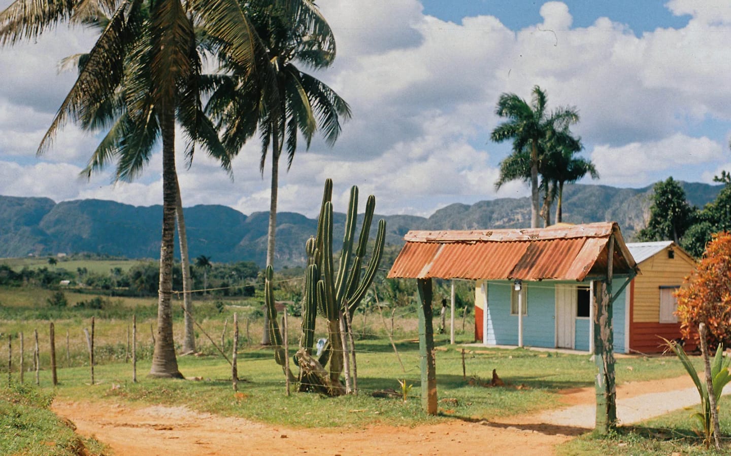 Cuba: guida alle meraviglie dell'Isola Caraibica