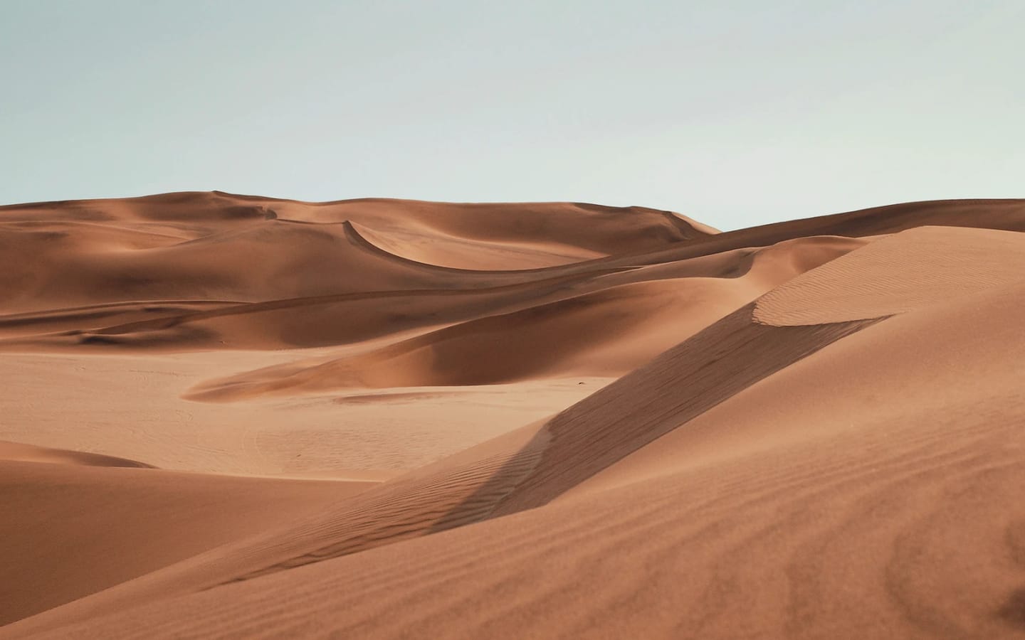 8 curiosità sulla Namibia: un Paese unico