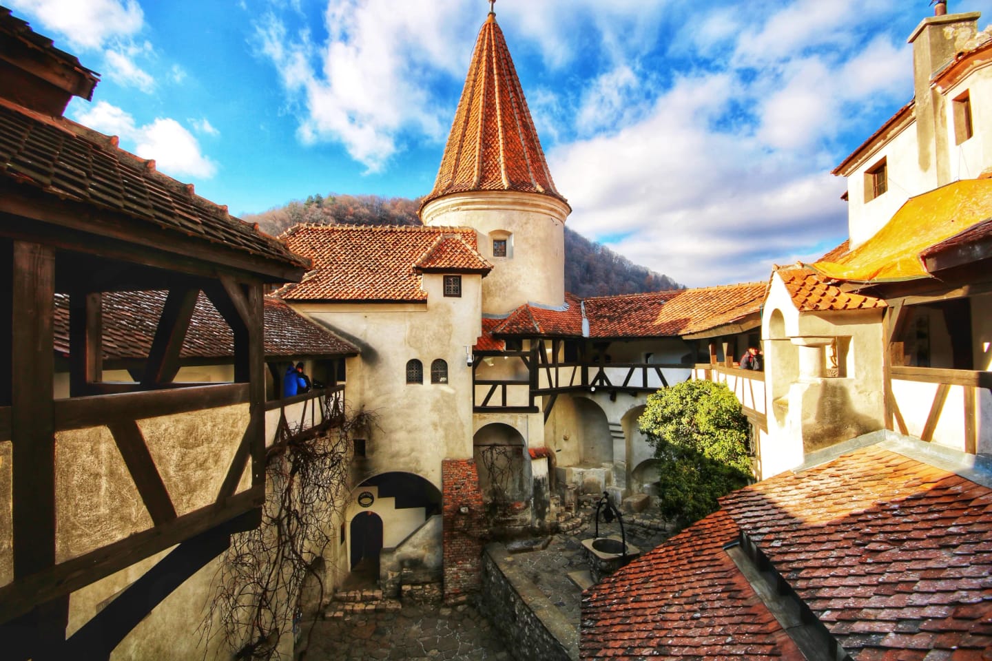 Viaggio in Transilvania: Tour nel Castello di Dracula