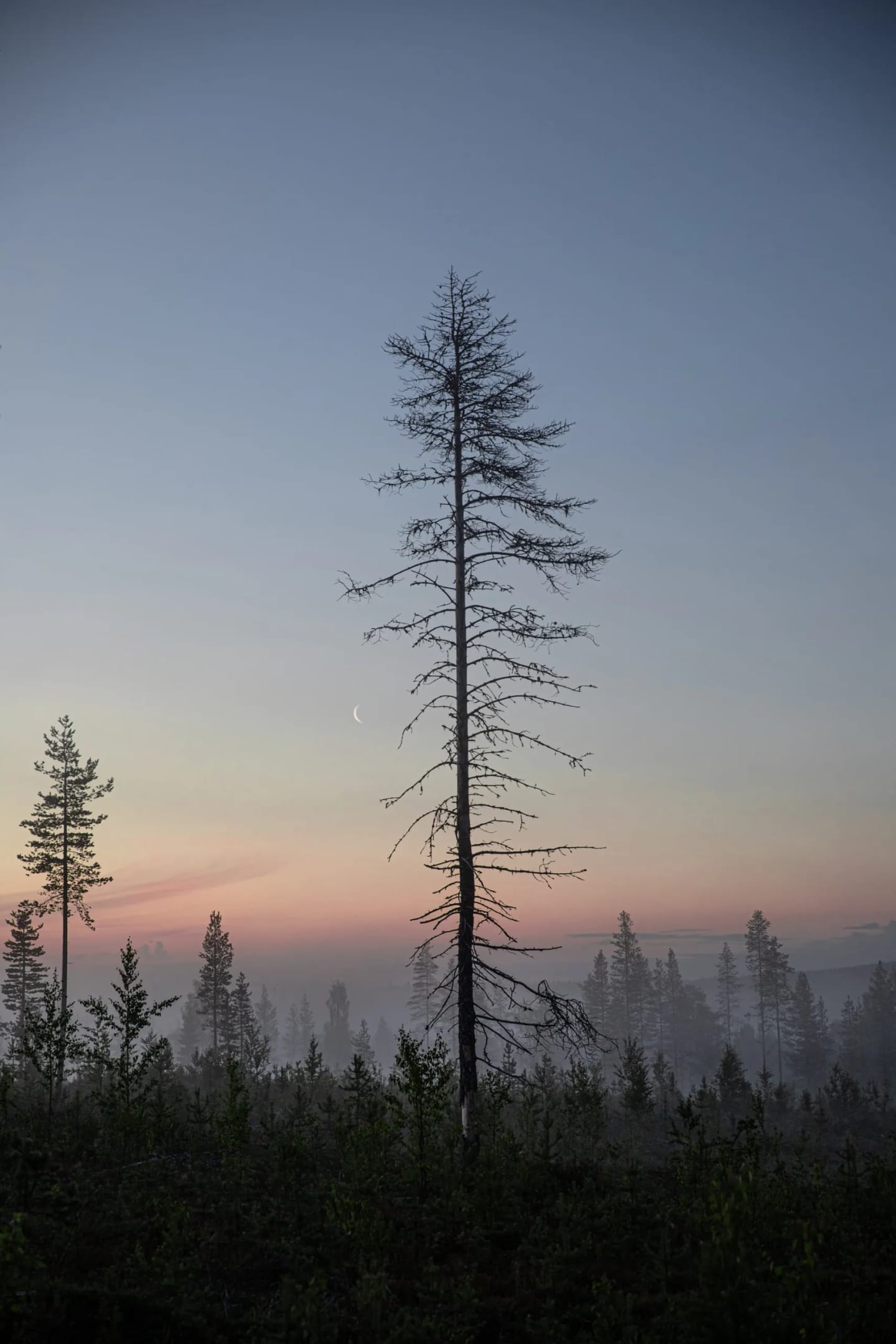 Lapland