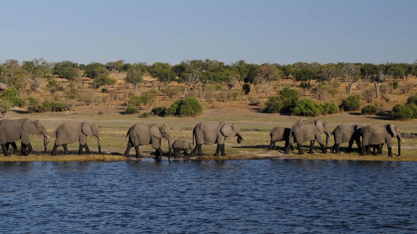quando andare in botswana