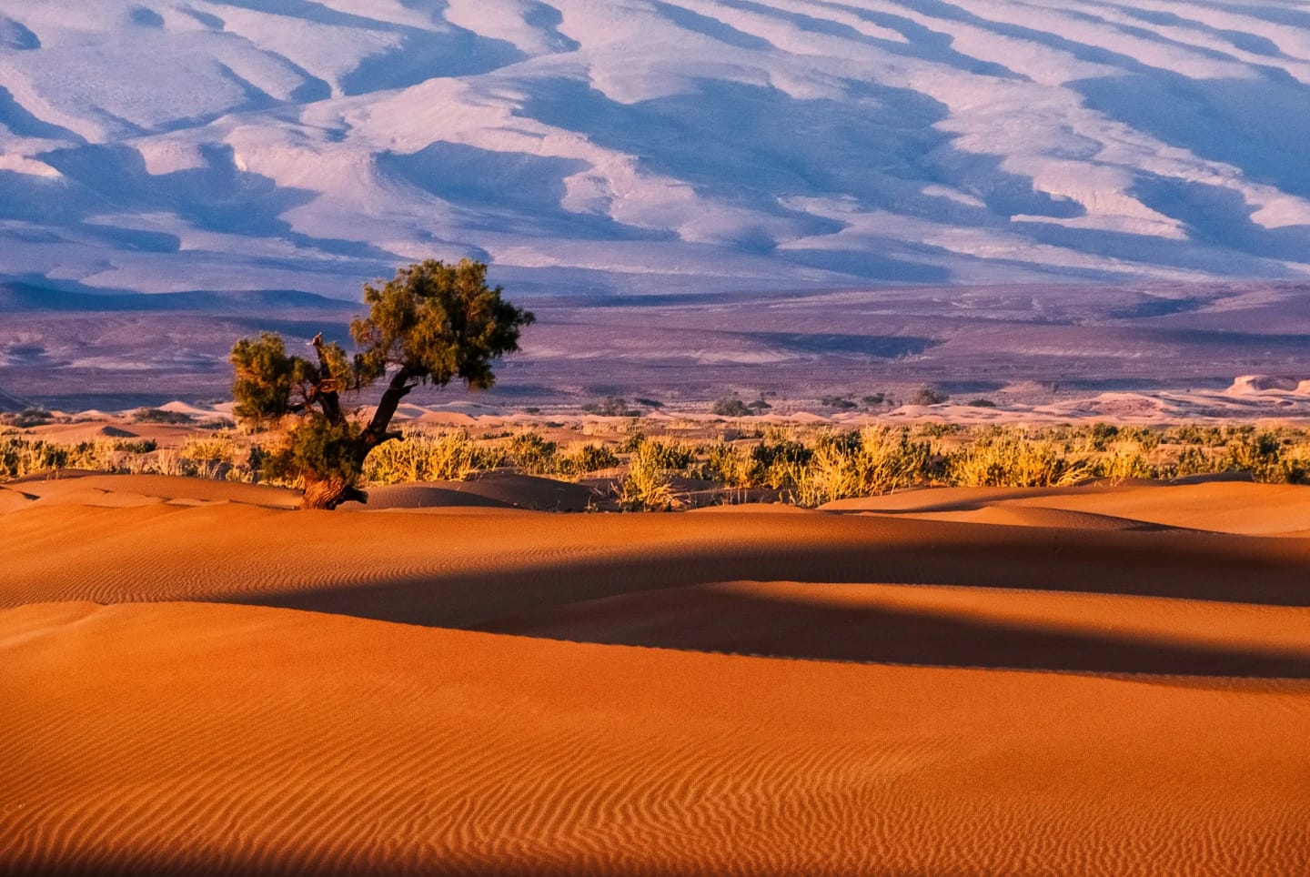 Le mille e una foto Marocco