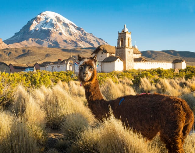 Viaggio di gruppo in Bolivia
