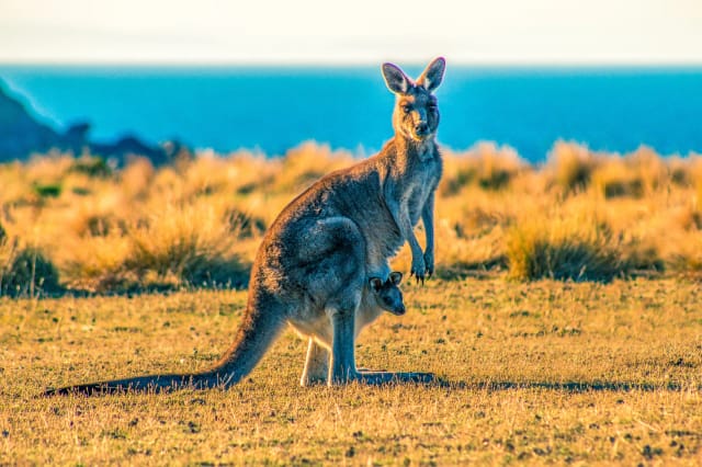 Viaggi di gruppo australia