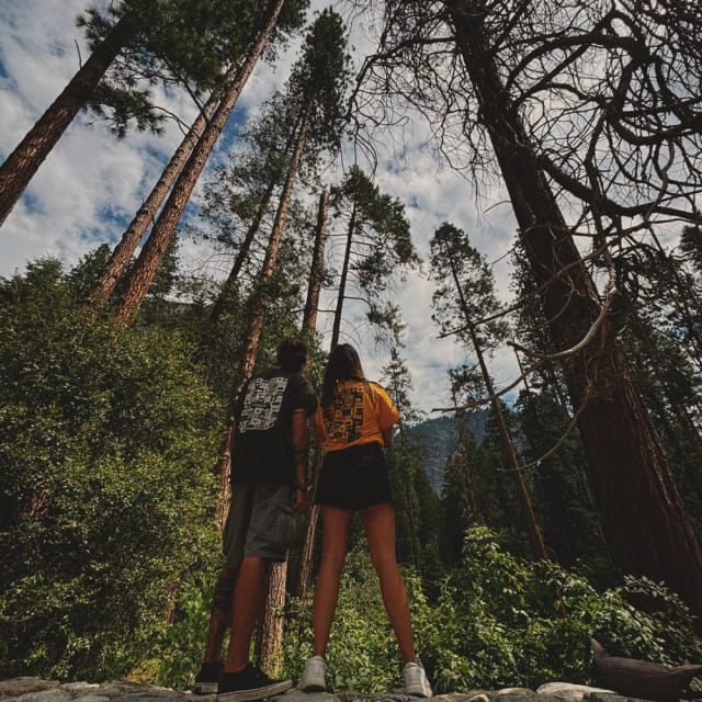 Viaggi di gruppo california