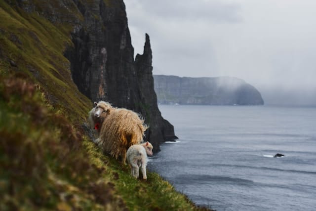 Viaggio alle Isole Faroe