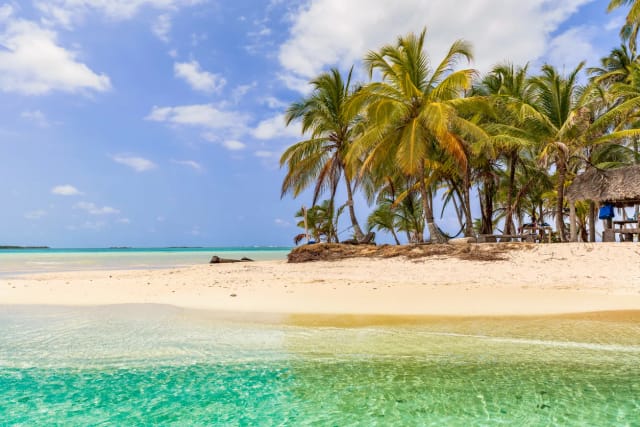 Viaggio di gruppo a Panama