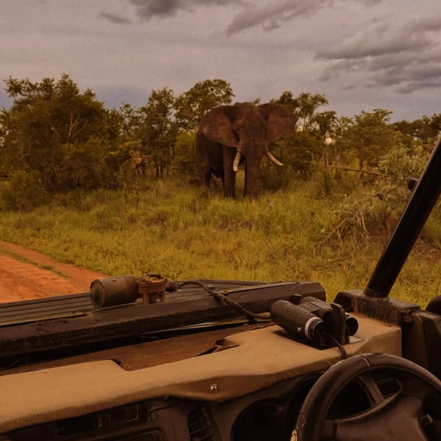 Viaggio di gruppo in Sudafrica