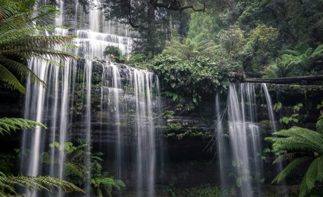 Viaggio di gruppo in Australia