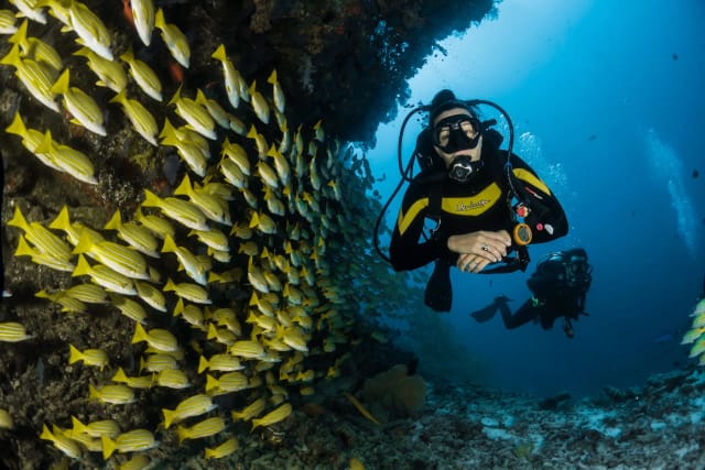 Maldive Coral Reef Adventure