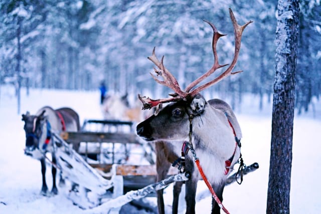 Lapponia Finlandese Sky Trip