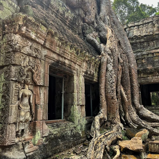 Cambogia