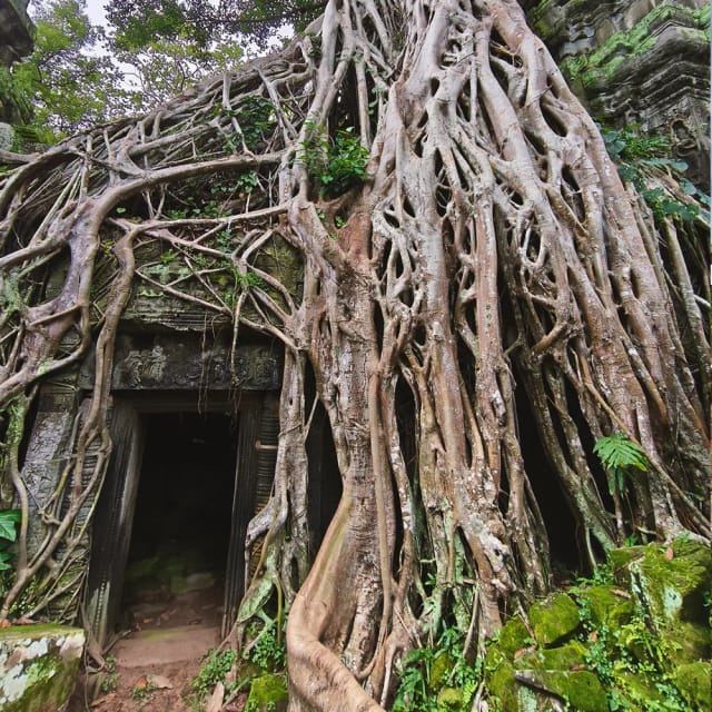 Viaggio in Vietnam e Cambogia
