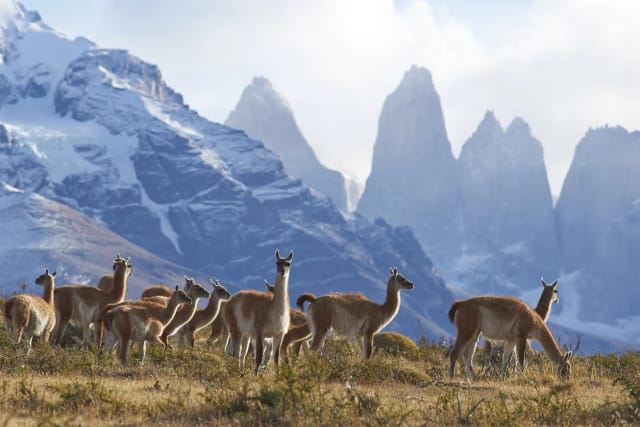 Viaggio SiVola di Gruppo Patagonia Argentina e Cile