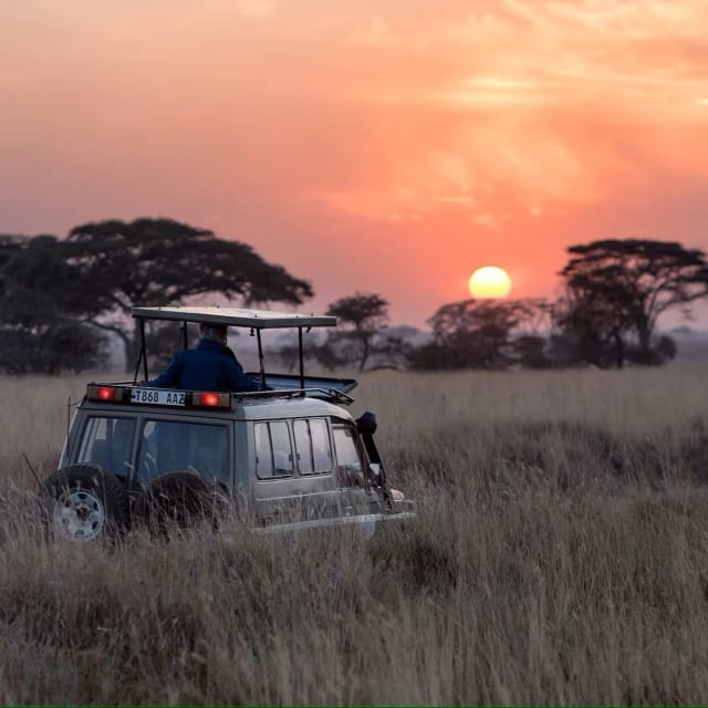 Viaggio in Uganda e Ruanda
