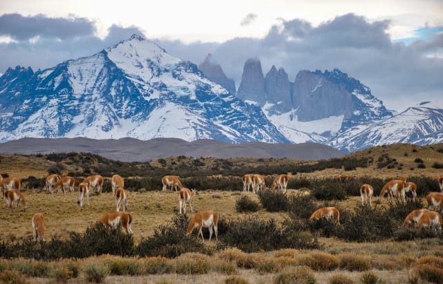 Viaggio di gruppo Patagonia