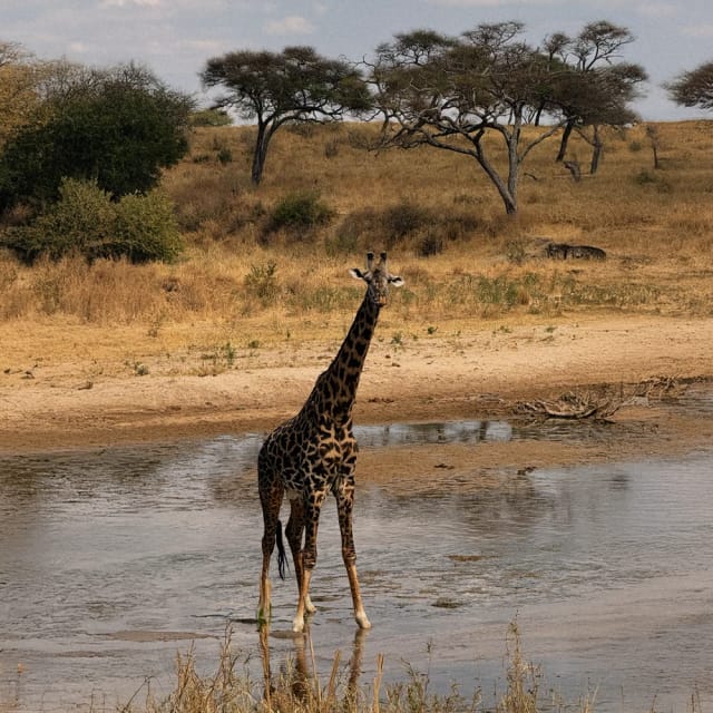 Viaggi di gruppo Kilimangiaro e Zanzibar