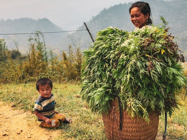 Vietnam con Adrian Fartade