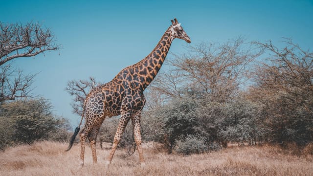 Viaggio di gruppo Senegal