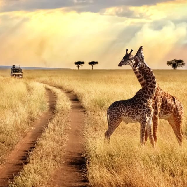 Viaggio di gruppo in Kenya