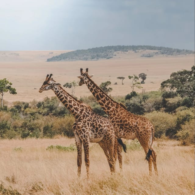 Viaggio in Uganda e Ruanda