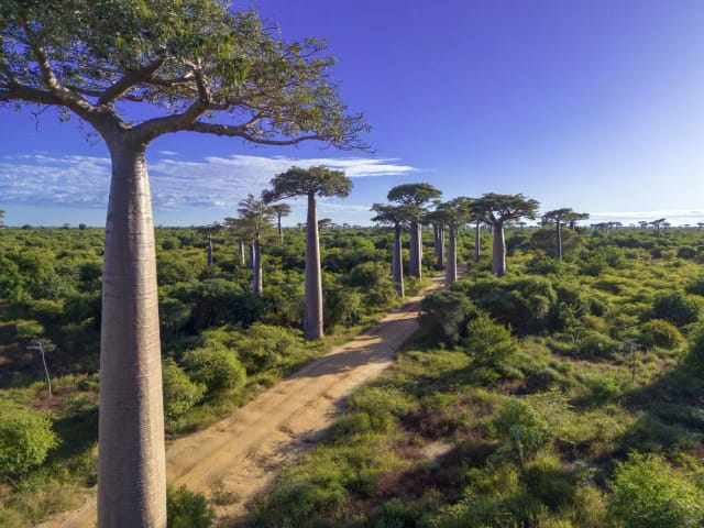 Viaggio in Madagascar
