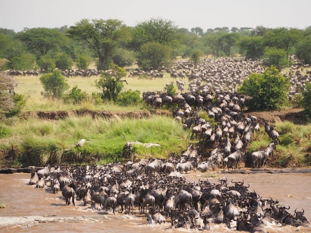 Viaggio di Gruppo in Tanzania