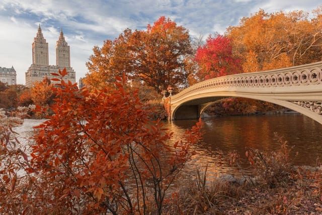 Viaggio di gruppo a New York