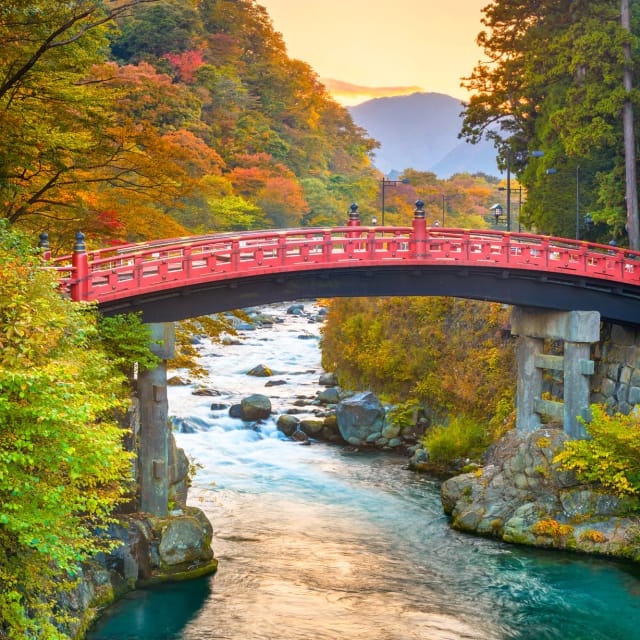 Viaggio fotografico di gruppo a Tokyo