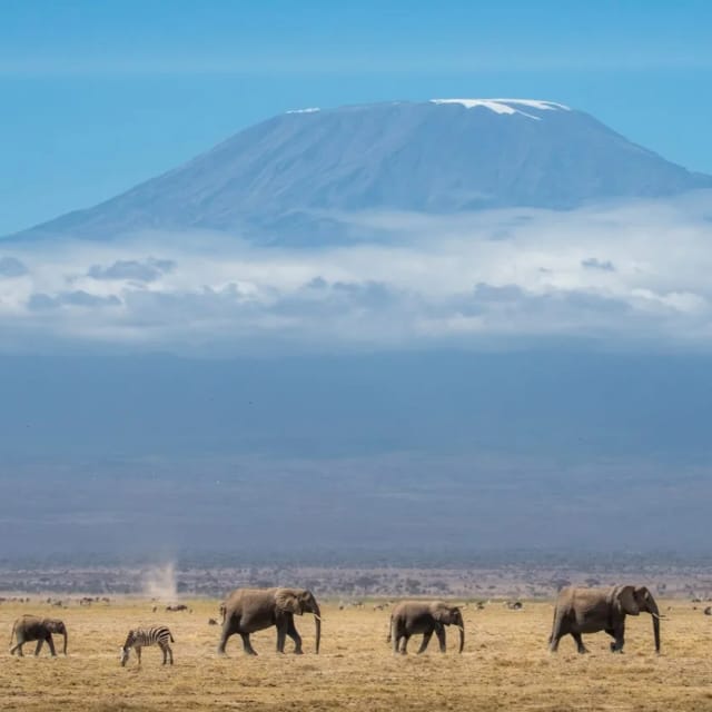 Viaggio di gruppo in Kenya