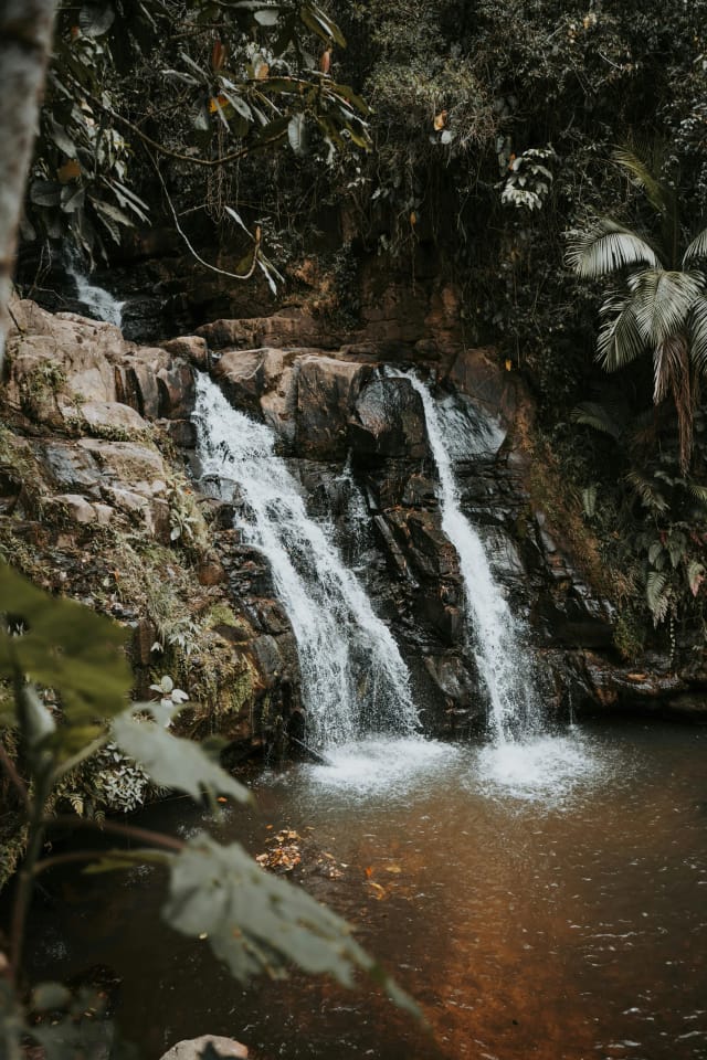Viaggio alle Seychelles