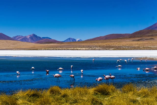 Viaggio di gruppo in Bolivia