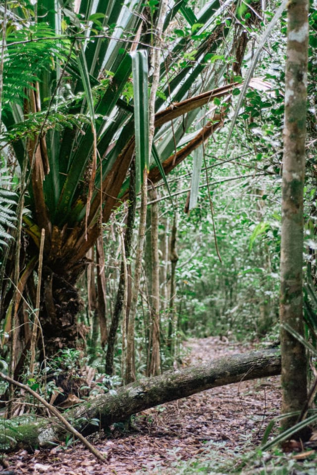 Viaggio di gruppo in Madagascar