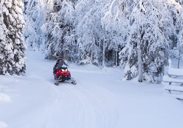 Viaggio in Lapponia, spedizione artica