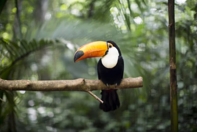 Viaggio di gruppo a Panama