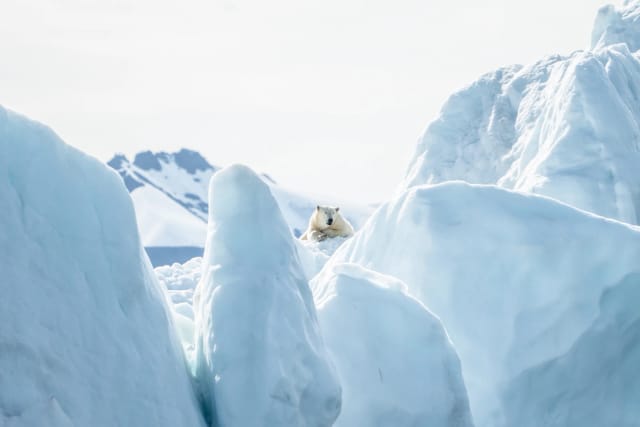 Svalbard in motoslitta