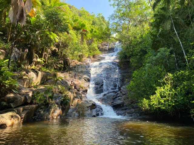 Viaggio alle Seychelles
